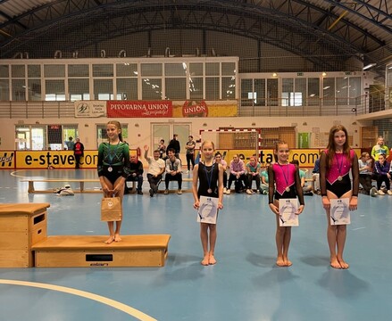 Gimnastičarke ŠD Stoja s ponosom in vrhunski rezultati! (4)
